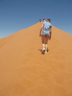 So eine Düne sieht von unten nie so hoch aus, wie sie tatsächlich ist. Etwas fies, denn wenn man schonmal begonnen hat, will man dann auch ganz hoch.
