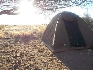 Campingplatz + Zelt vorm Dornenbaum