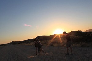 Liebe Liebe Liebe :)