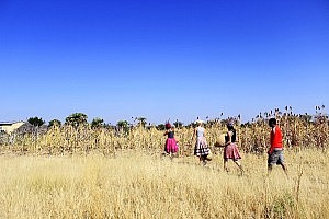 Am ersten Morgen werden wir eingekleidet: Kopftuch und Rock und Ketten. Wir ernten Hirse und werden als vollwertige "White Wambos" akzeptiert. :D
