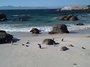 IMG_20150702_113012[1]