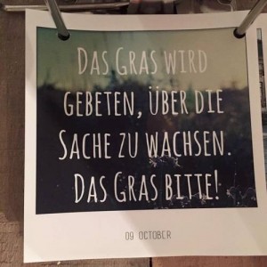 das-gras-wird-gebeten-ueber-die-sache-zu-wachsen