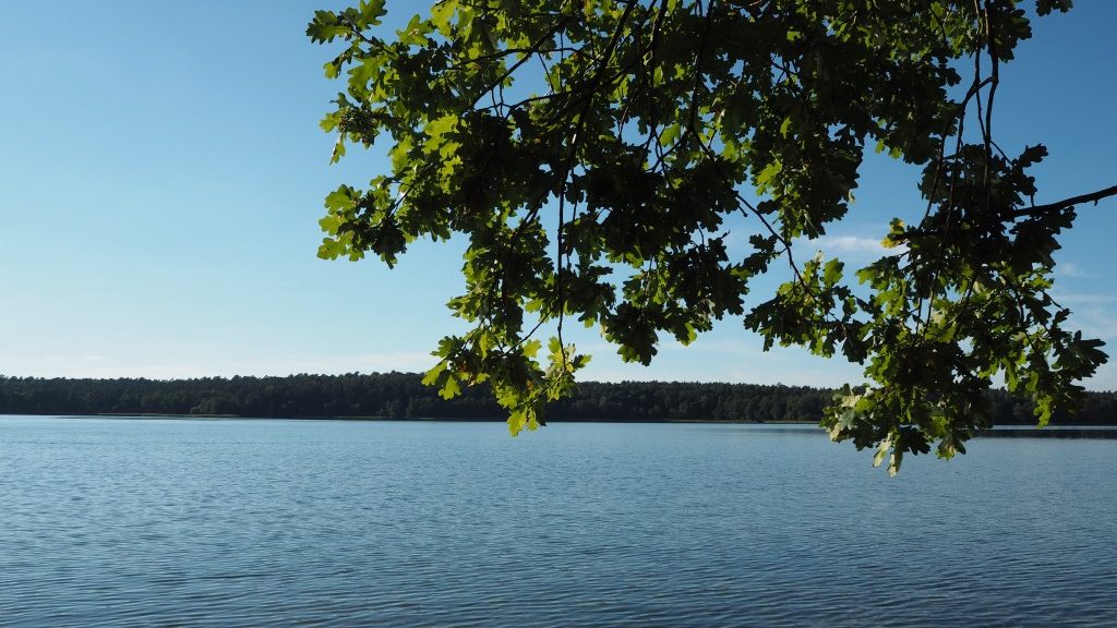 Los geht’s am Werbellinsee