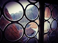 Zwischen Bären und Dracula – eine rumänische Reise