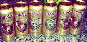 Wir gehen heut' auf Bärenjagd!