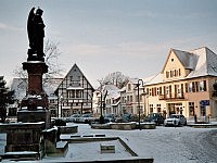 Flying Home For Christmas