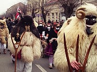 Besuch, Sehnsucht und die fünfte Jahreszeit
