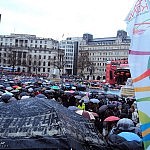 Regenschirme auf dem Trafalgar Square