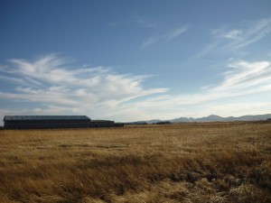 Blumenau im Frühling