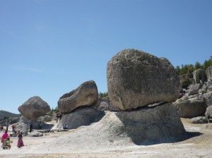 valley of the mushrooms