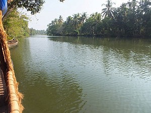 Die Backwaters