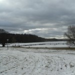 Der zugefrohrene Werbellinsee