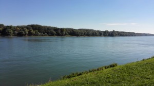 Donau bei Mohács