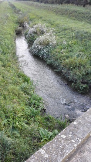 Auf dem Fahrradweg nach Villány