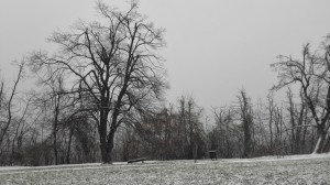 Eigentlich kann man Budapest erkennen, doch durch den Nebel und den Schnee (Schnee, juhuu!!), sah man nur weiß.