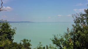 Blick auf den Balaton- Foto mit dem Handy