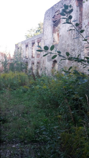 Ruine im Park von Strzelce