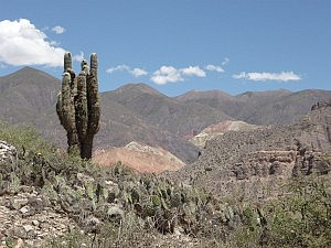 Landschaft in Jujuy