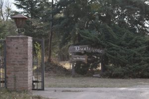 Ein Holzschild vor Bäumen hinter einem Tor: "Buxtehude".