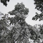 so viel Schnee, und aus der Ferne hörten wir den Muezzin