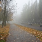 Herbstlicher Schulweg