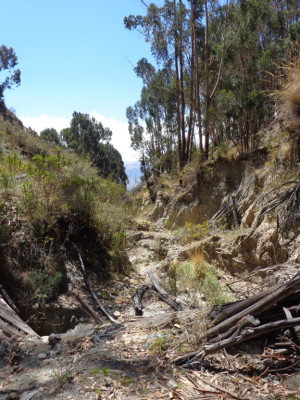 auf unserem Spaziergang