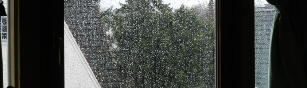 Sicht aus meinem Zimmerfenster