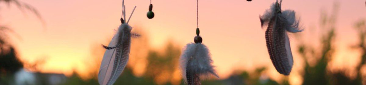 Nächstes Abenteuer: Ungarn