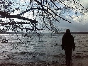 Orange(nbaum) Blätter liegen auf dem Weg