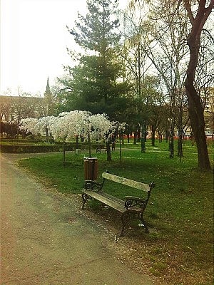 Ein Park in Timsoara