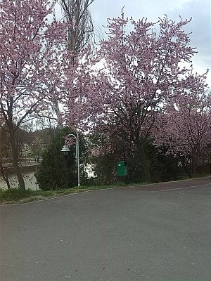 11096767_1057339000961028_730222940_n