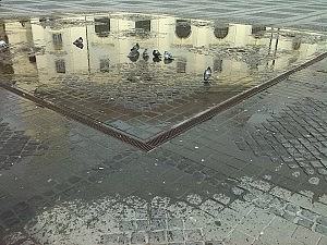 11118022_1057331537628441_609938203_n