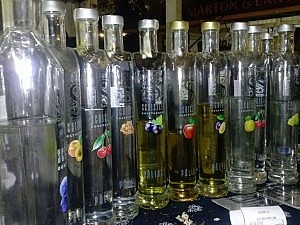 11211492_1073897345971860_1559458360_o