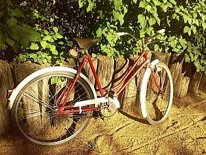 11253812_1072922486069346_756809556_n