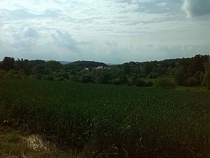 10529638_1090892670938994_1175931908_n