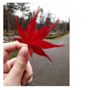 Abenteuer in Vrnjačka Banja