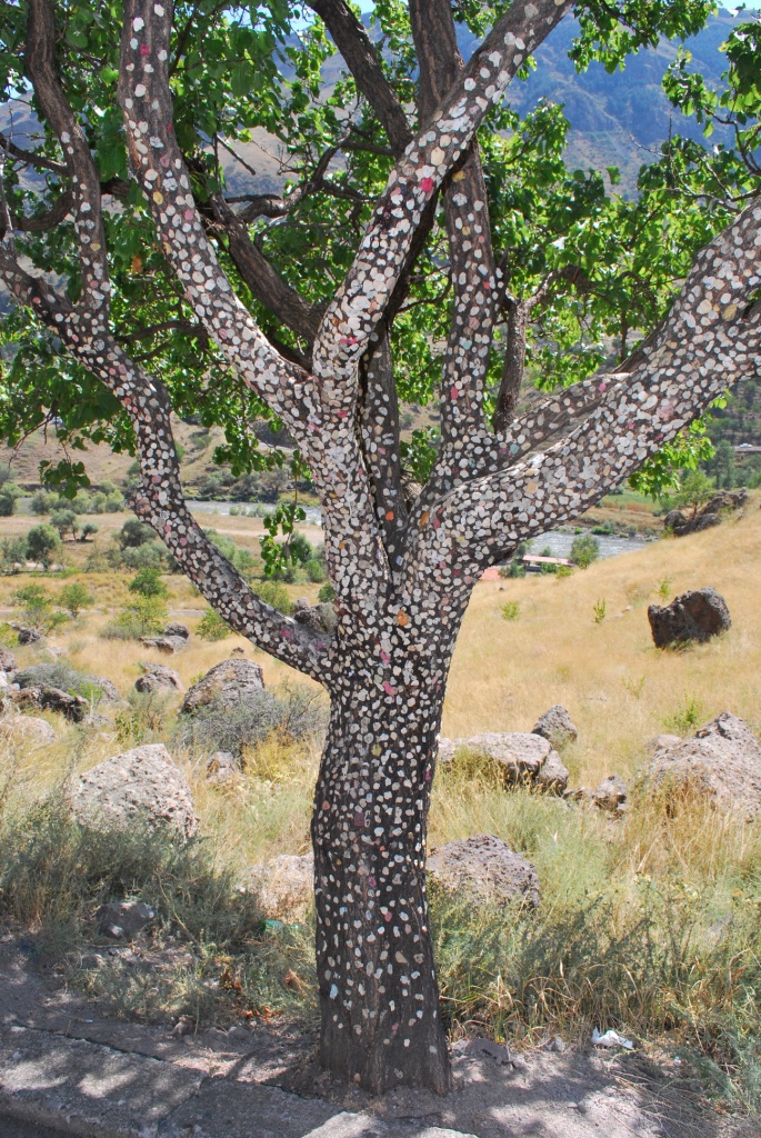 Chewing gum tree/Kaugummibaum