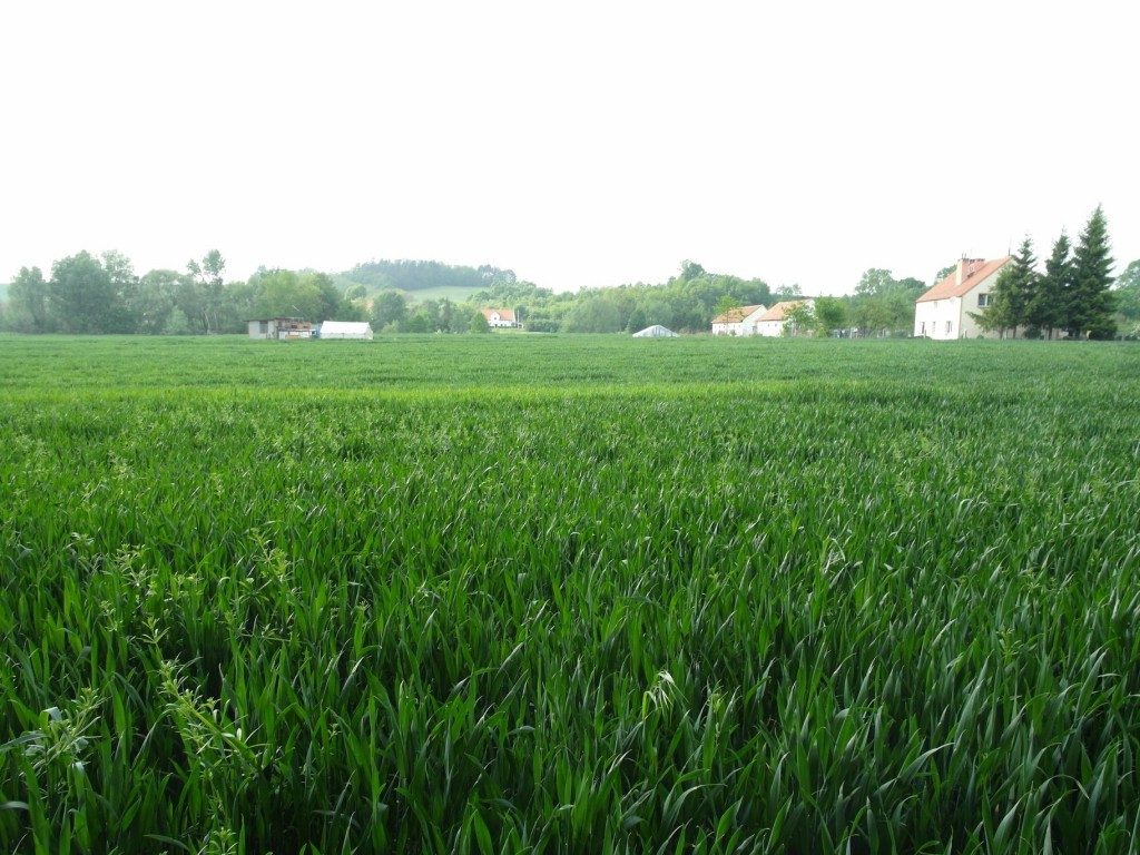 Gelände des "Kreisauer Kreises", einer Widerstandsgruppe im 3. Reich