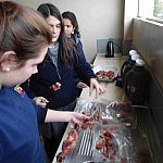 Vorbereitung der Fleischspieße Vorbereitung der Fleischspieße