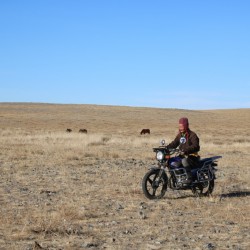 01_Morgens bei der ersten Jurte (6)