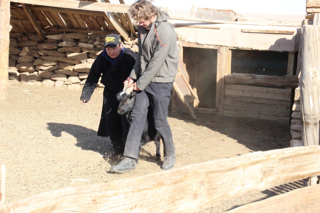 01_Zu Besuch bei Naraa (5)