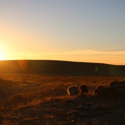 03_Abends bei der ersten Jurte (8)