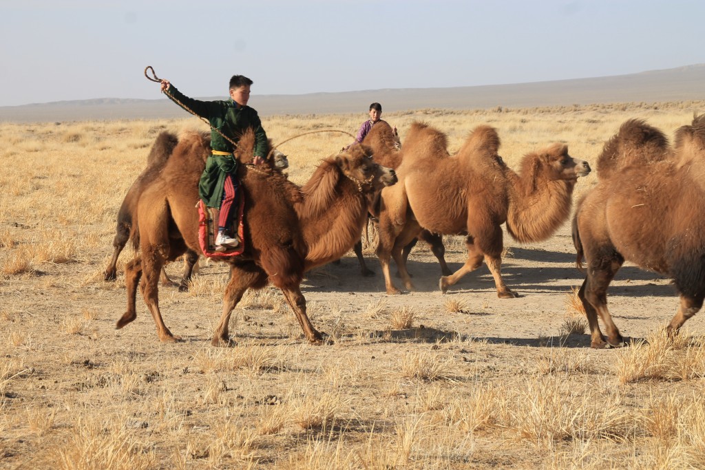 04_Beim Kamel-Reiten (8)