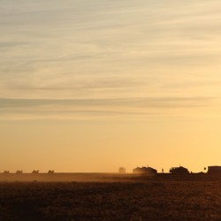 06_Abends bei der Jurte mit den Kamelen (11)