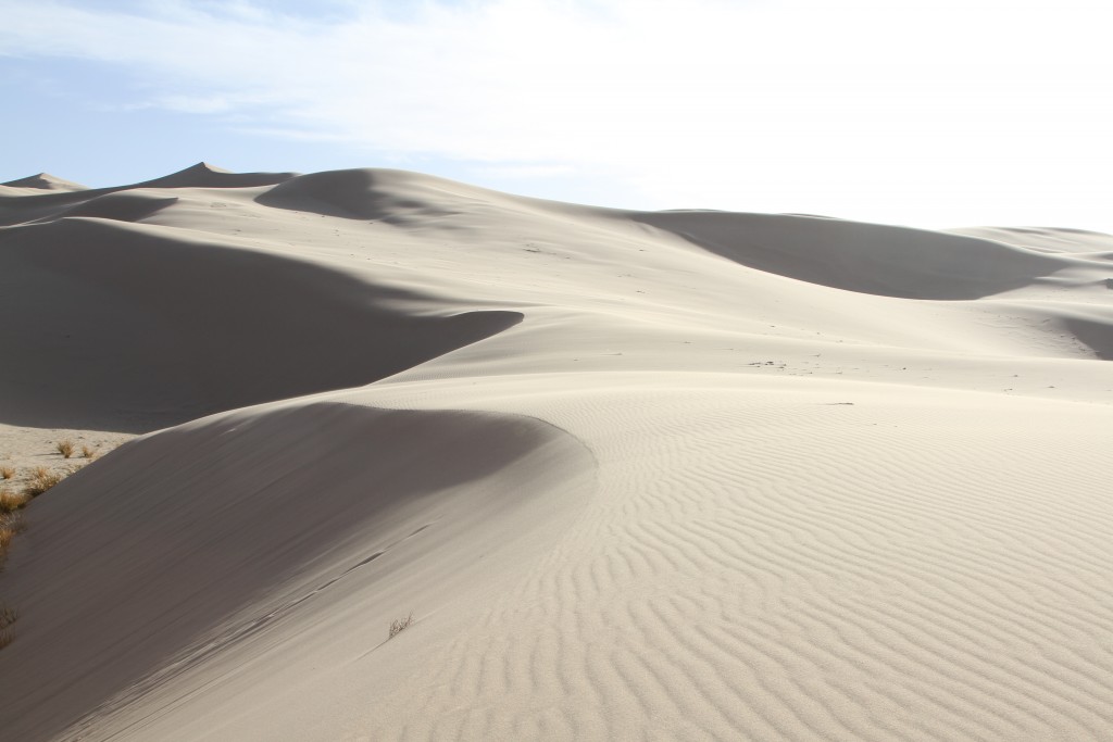 Sanddüne_Khongoriin Els (1)