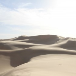 Sanddüne_Khongoriin Els (7)