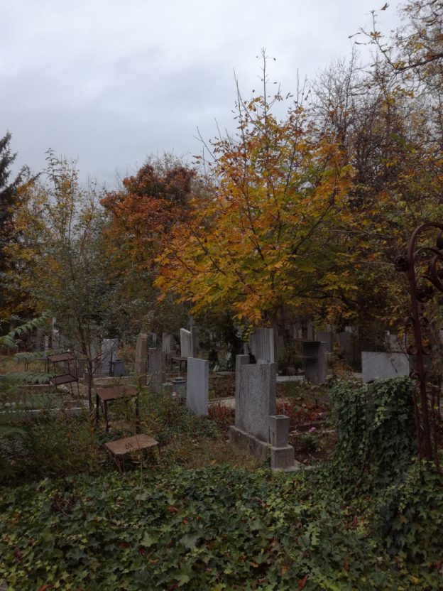 Viva la Vivacom und Halloween auf dem Friedhof (Tag 15-21)