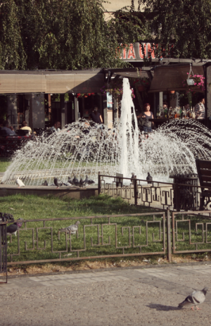 Ein Taubenfest auf der Piata Unirii