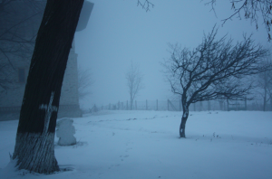 Lieblingsbildpotenzial