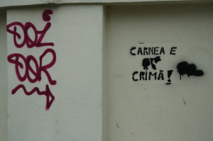 und etwas zu Fleisch